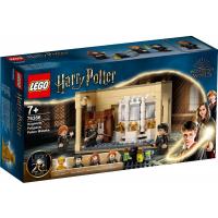 Конструктор LEGO Harry Potter Хогвартс ошибка с оборотным зельем 21 Фото