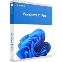 Операционная система Microsoft Windows 11 Pro 64Bit Russian Intl 1pk DSP OEI DVD Фото