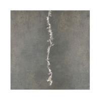 Гирлянда Luca Lighting Пестрая ветвь холодный белый 150 см Фото