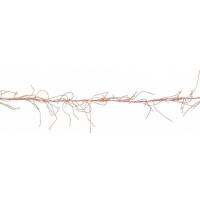 Гирлянда Luca Lighting кластер Медная струна теплый белый 8 м Фото