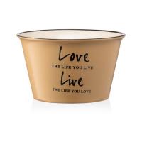 Бульйонница Ardesto Way of Life 550 мл Beige Фото