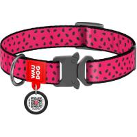 Нашийник для тварин WAUDOG Nylon "Кавун" металічна пряжка-фастекс XL Фото