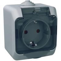 Розетка Schneider Electric CEDAR 2К+С со шторками и прозрачной крышкой серая Фото