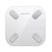 Ваги підлогові Grunhelm BES-28BFS Фото