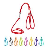 Шлея для собак WAUDOG Glamour кругла, з повідцем XS червона Фото