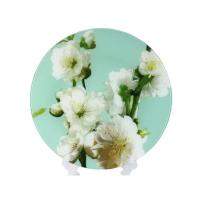 Блюдо Interos 30 см Яблоня бірюза 77578 Фото