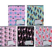 Тетрадь Kite BBH 18 листов, клетка Фото