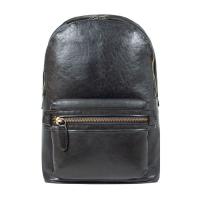 Рюкзак туристический Ashwood G38 Black Фото