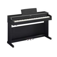 Цифровое пианино Yamaha Arius YDP-165 Black Фото