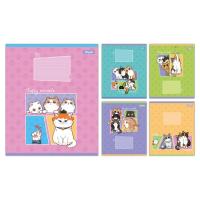 Зошит 1 вересня Fluffy miracle А5 12 аркушів лінія Фото