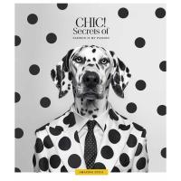 Зошит Школярик Fashion chiс 60 аркушів клітинка Фото