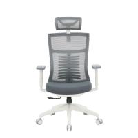 Офісне крісло OfficePro Balance OC550-W-DG-DG Фото