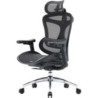 Офисное кресло Sihoo DORO C300L Mesh Black Фото