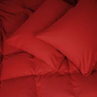 Постельное белье MirSon 009 Red Фланель 175х210 Двуспальный Фото