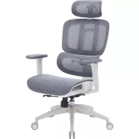 Офісне крісло OfficePro Skyline OC680-W-DG-DG Фото