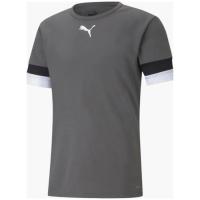 Футболка Puma teamRISE Jersey 704932-13 сірий XL Фото