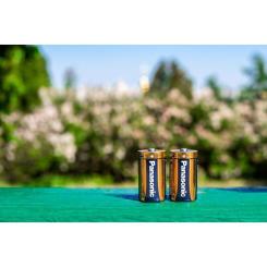 Батарейка Panasonic D LR20 Alkaline Power * 2 Фото 3