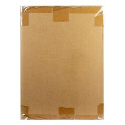 Тонер Tomoegawa SAMSUNG ML-1710/SCX-4100, 2x10 kg Фото 1