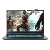 Ноутбук Dream Machines RS2080Q-17 Фото