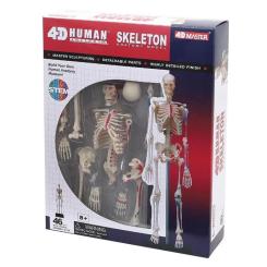 Пазл 4D Master Объемная анатомическая модель Master Скелет челове Фото