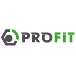 Воздушный фильтр для автомобиля Profit 1512-4195 Фото