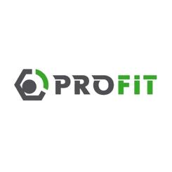 Воздушный фильтр для автомобиля Profit 1512-4214 Фото