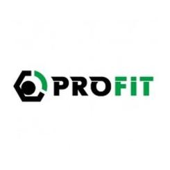 Воздушный фильтр для автомобиля Profit 1512-4292 Фото