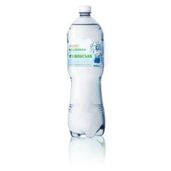 Минеральная вода АЛЕКС Лужанская, 1,5л Фото
