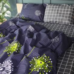 Постельное белье MirSon Бязь Premium Nina №70INT 143х210х2 Фото