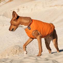 Жилет для животных Pet Fashion "E.Vest" S оранжевый Фото 2