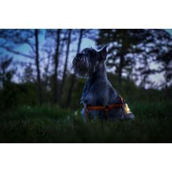 Фонарь Armytek Zippy Extended Set Green Фото 9