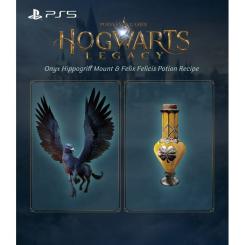 Игра Sony Hogwarts Legacy, BD диск Фото 11