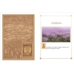 Книга Видавництво Старого Лева Вересова Міль - Оксана Була Фото 3