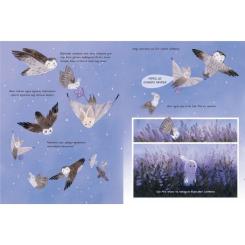Книга Видавництво Старого Лева Вересова Міль - Оксана Була Фото 6