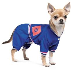 Дождевик для животных Pet Fashion Silver ХS Фото 1