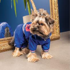 Дождевик для животных Pet Fashion Silver ХS Фото 2