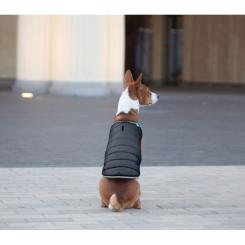 Курточка для животных Airy Vest XXS черная Фото 5