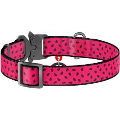 Ошейник для животных WAUDOG Nylon "Кавун" металічна пряжка-фастекс XL Фото 1