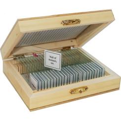 Набор микропрепаратов Sigeta Анатомія 25 шт Фото