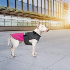Попона для животных Pet Fashion ROY XL малиново-серая Фото 6