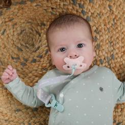 Пустышка Difrax Dentall, 0-6 мес Фото 1