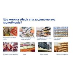 Холодильник Snaige SGL011P Фото 2