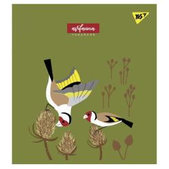 Тетрадь Yes А5 Avifauna 12 аркушів клітинка Фото 1