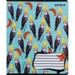 Тетрадь Kite BBH 18 аркушів, клітинка Фото 5