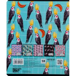 Тетрадь Kite BBH 18 аркушів, клітинка Фото 7