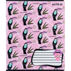 Тетрадь Kite BBH 18 аркушів, клітинка Фото 8