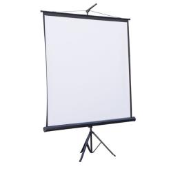 Проекционный экран Atria TRM-NTSC-120D Фото