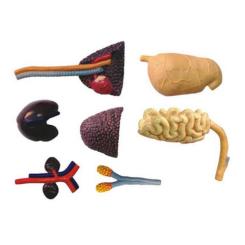 Пазл 4D Master Master Трицератопс Фото 7