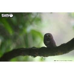 Пазл Eugy 3D Зоопарк Сова Фото 4