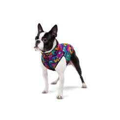 Курточка для животных WAUDOG Clothes Зубастые монстры S 40 Фото 2